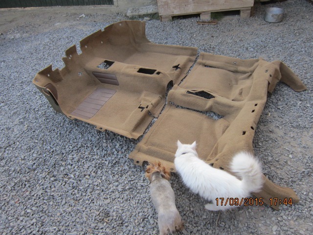 Килим у салон. 3