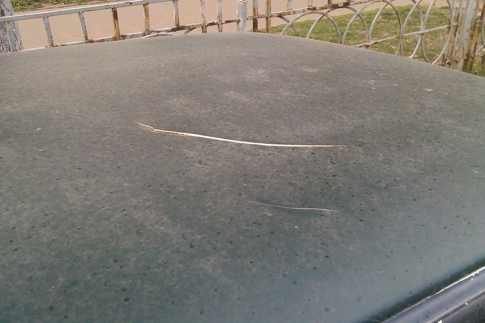 Vag Sport і щур 4