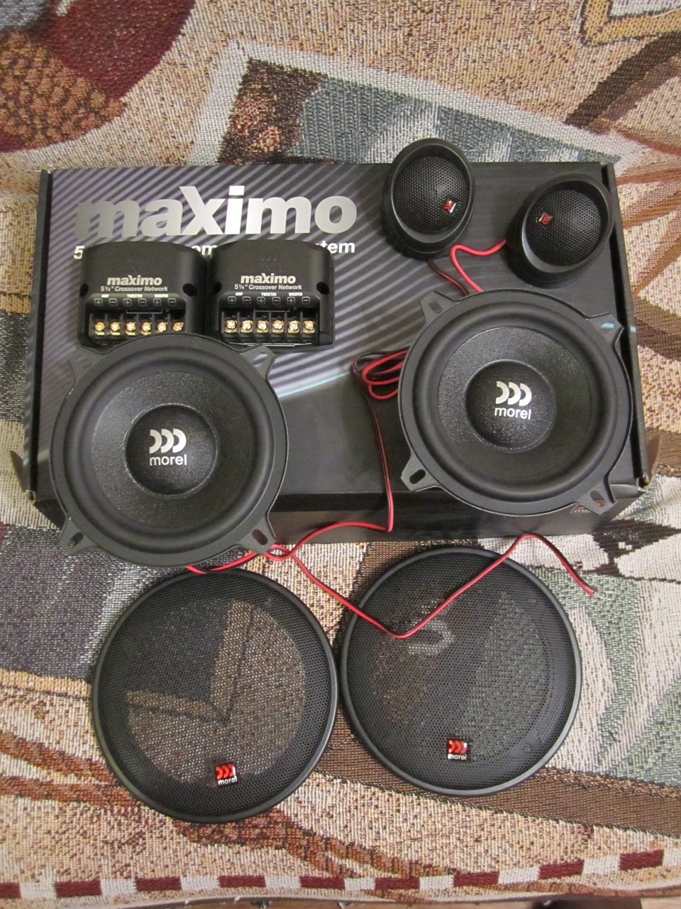 Morel Maximo 5 5