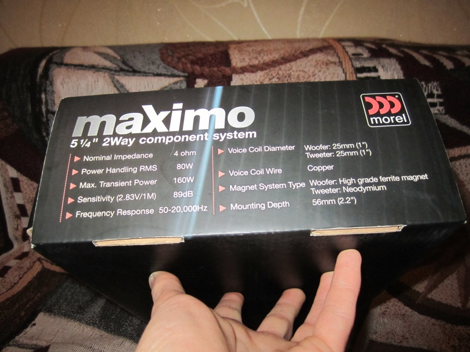 Morel Maximo 5 2