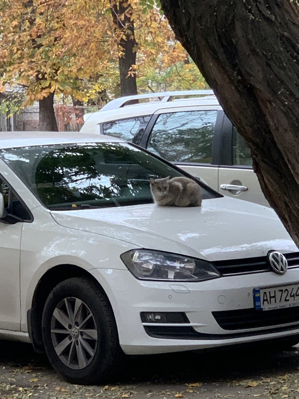 Все добре =) 2