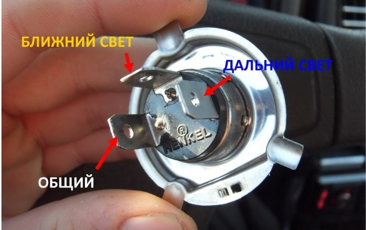 Реле на світ товаришу 2