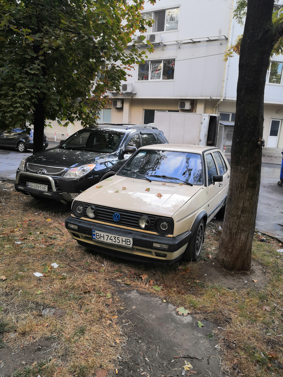 Перші потуги в тонування 1
