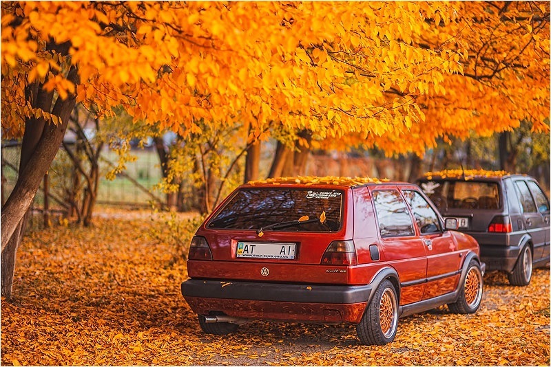 осінні фото. частина друга! (листя, гольфи, повний феншуй!))) 4