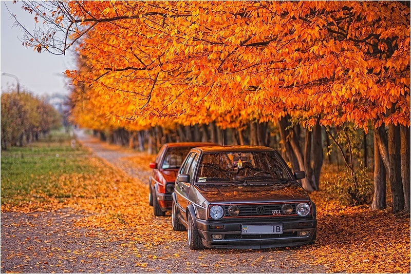 осінні фото. частина друга! (листя, гольфи, повний феншуй!))) 3