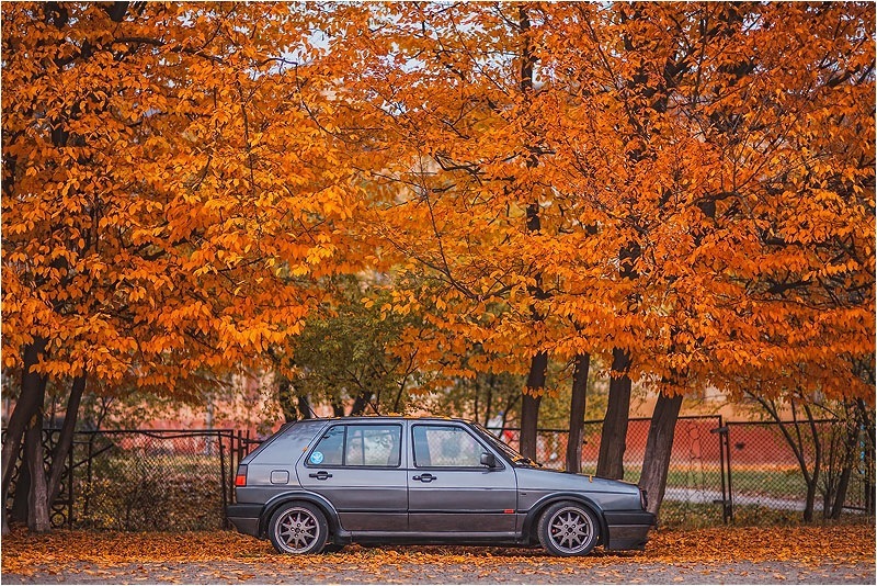 осінні фото. частина друга! (листя, гольфи, повний феншуй!))) 1