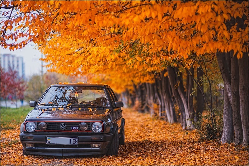 осінні фото. частина друга! (листя, гольфи, повний феншуй!))) 2