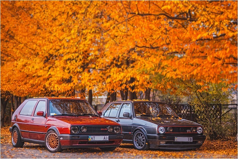 осінні фото. частина друга! (листя, гольфи, повний феншуй!))) 5