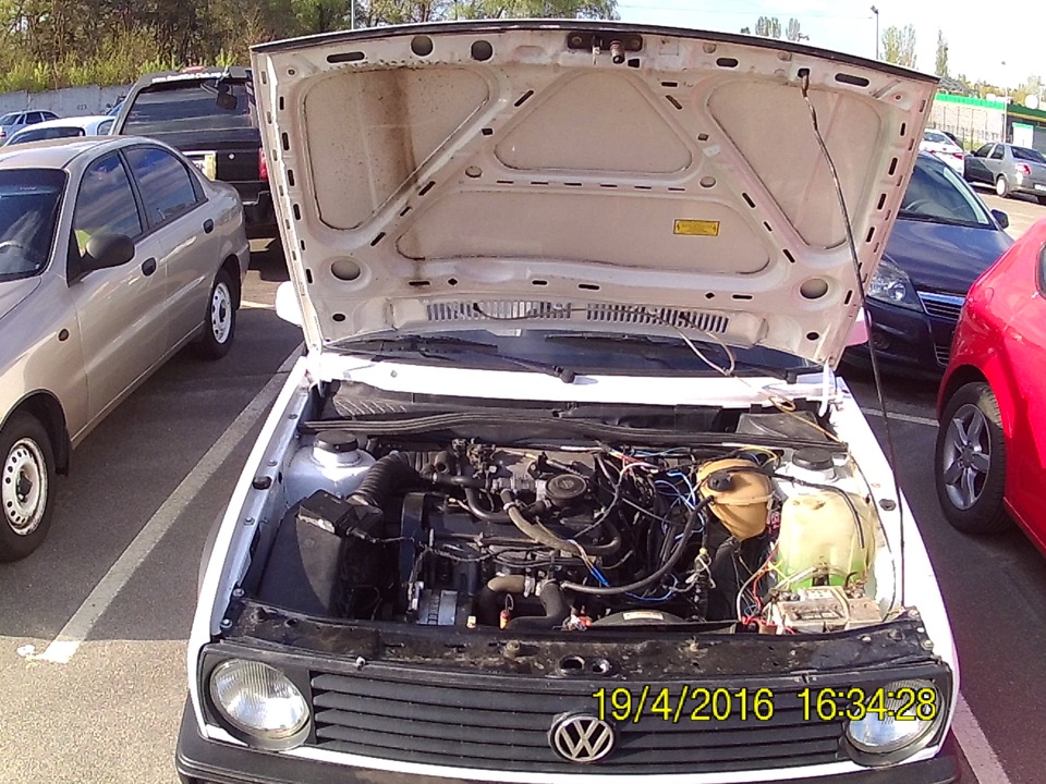 Its alive! ALIVE! 1