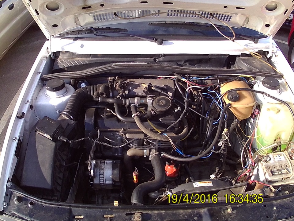 Its alive! ALIVE! 2