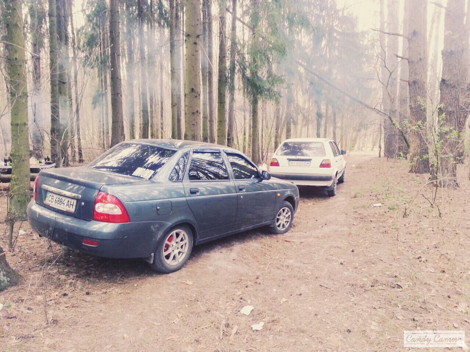 Виїхали в ліс на шашличок 1