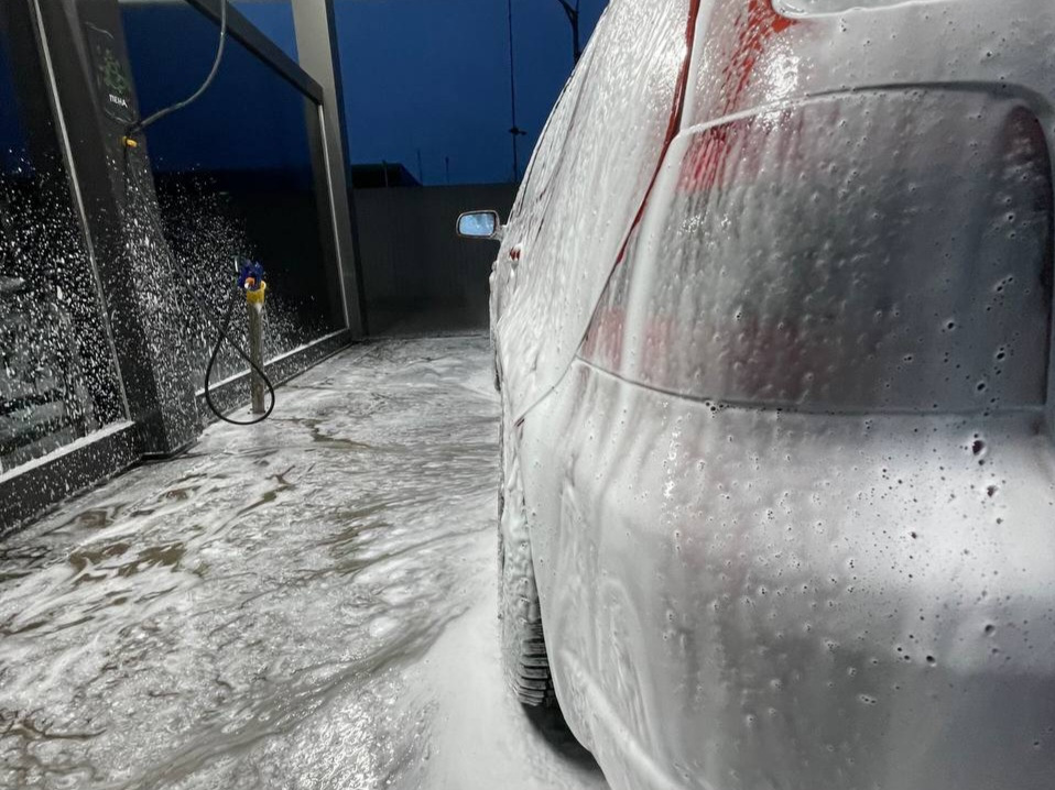 Взули і Помили зайця)) 2