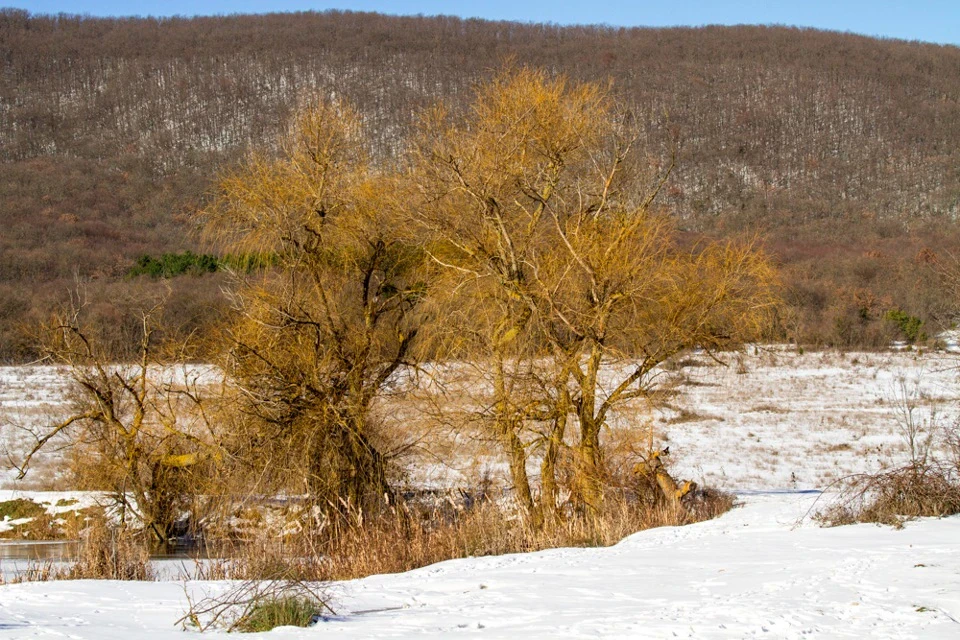 Крим 2013. День 2. У пошуках слідів Таврів
