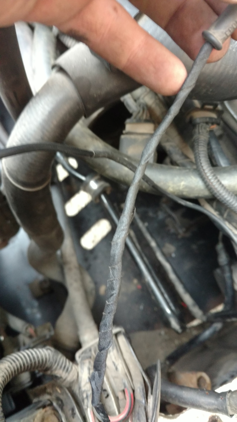 Знайшов причину помилки 17698 - Coolant Temp Sensor на Radiator Outlet (G83) P1290 - 006 - Signal too Small - Intermittent 3