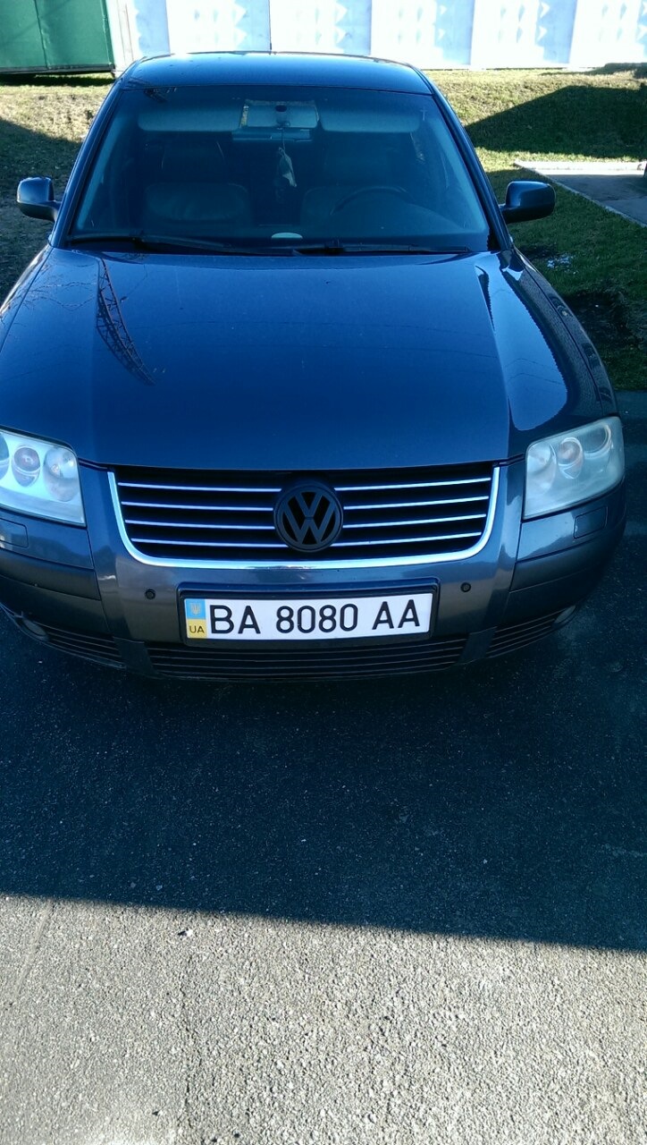 решітка радіатора passat B5 + plasti dip 3