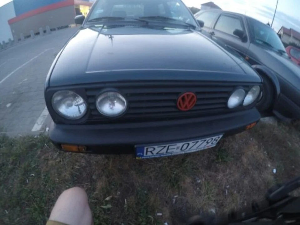 Боляче усвідомлювати, але розпродаю Зайця на органи (((