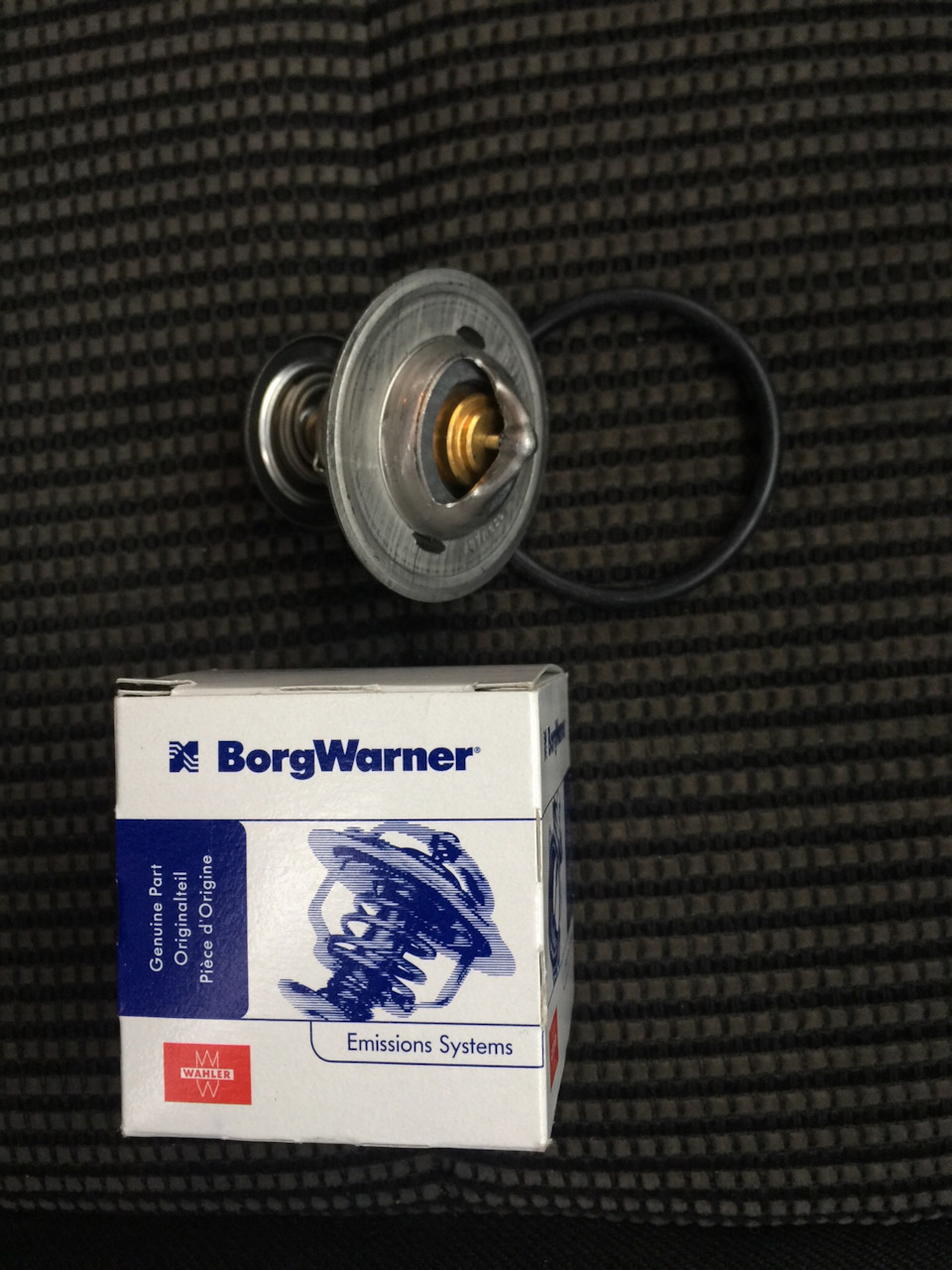 Заміна термостата BorgWarner 4264.87D на TDI ASZ 1