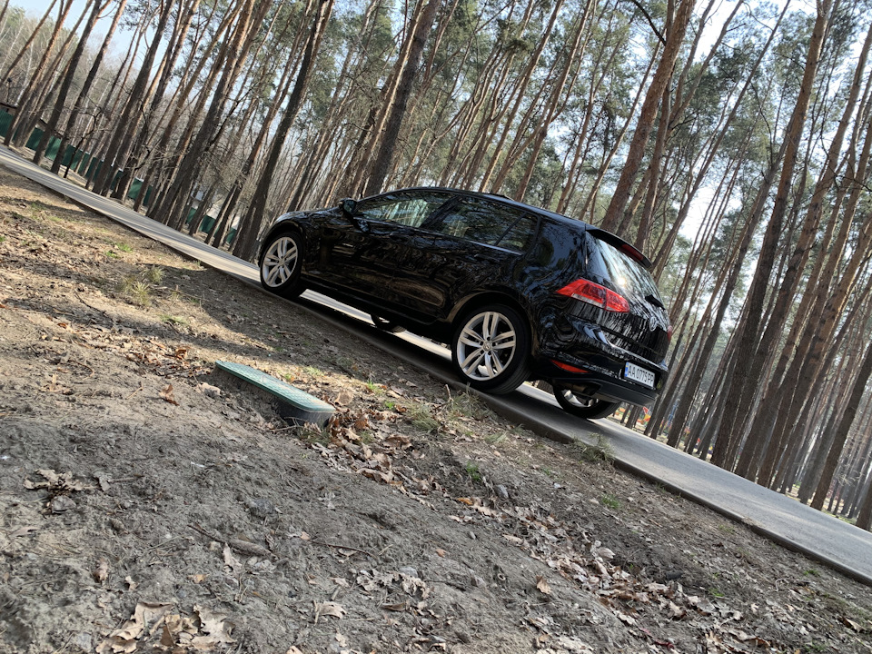 Golf-и у справі - карантин 4