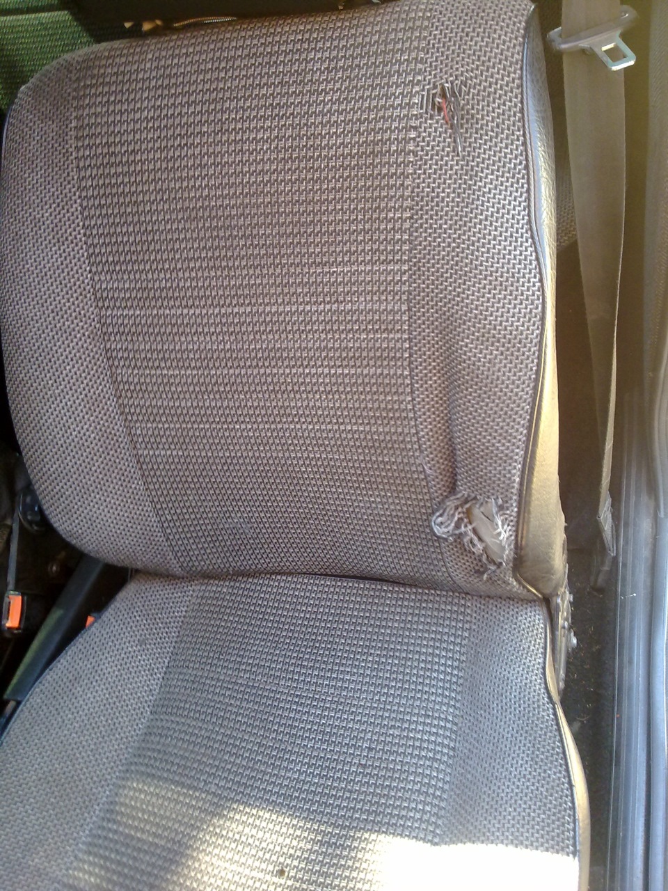 ЩУРИ - ВОРОГ! 1
