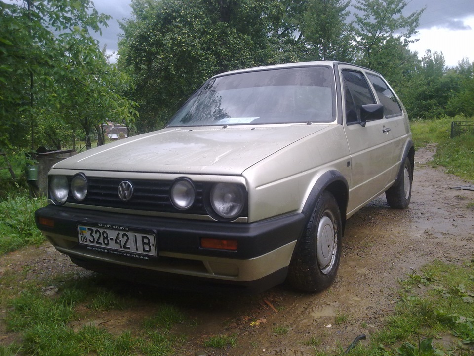 пара фоток 1
