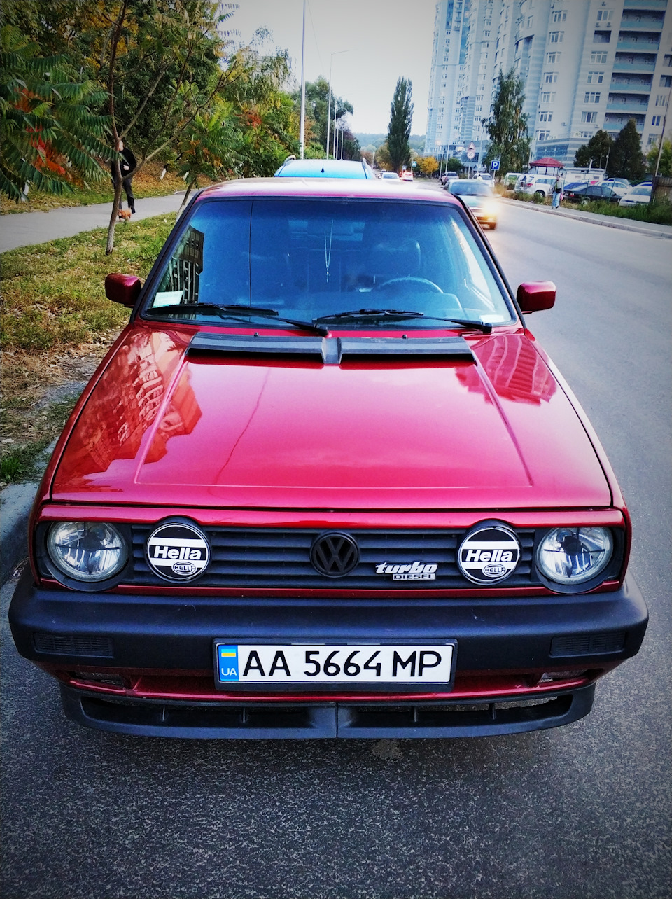 Губа від Toledo) 1