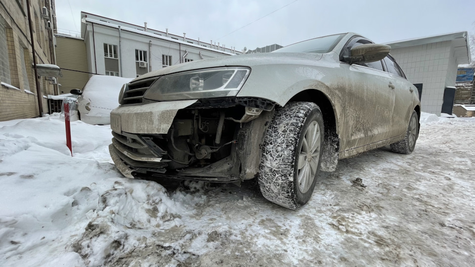 050 Собака! 3