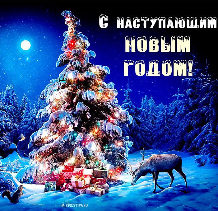 🥳С Наступаючим Новим Роком🥳 1