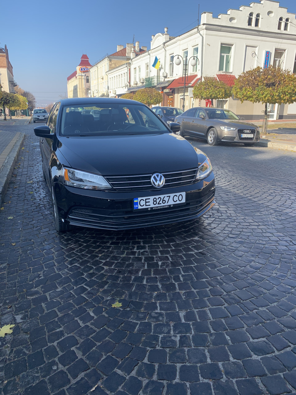 На зиму прикупив ніштяків 2