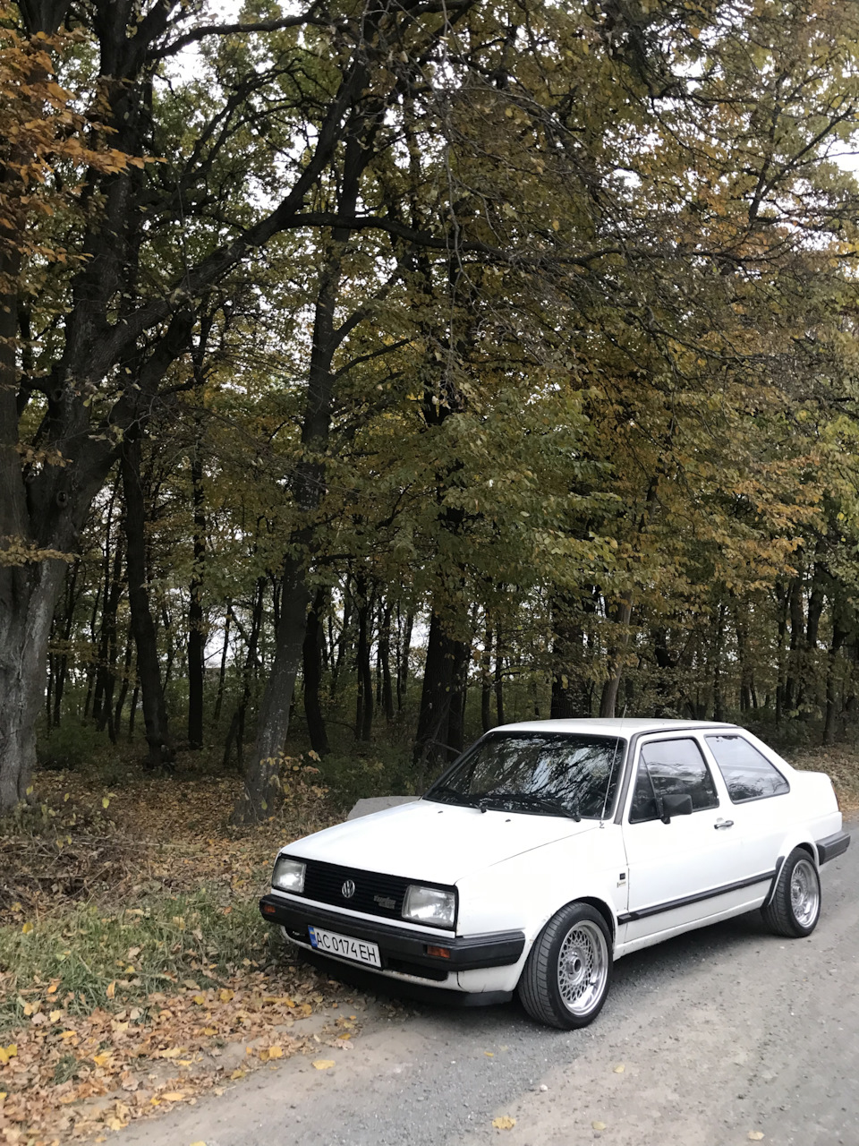 Осінній фото сет 5