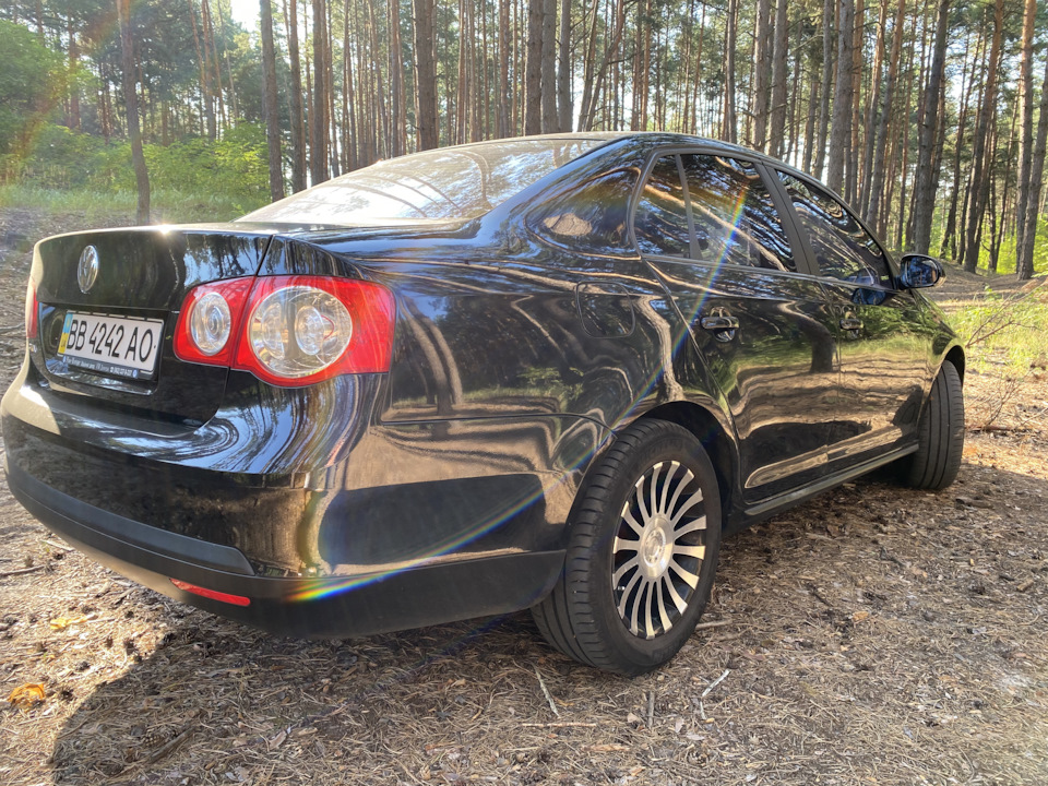 У сосновому лісі 3