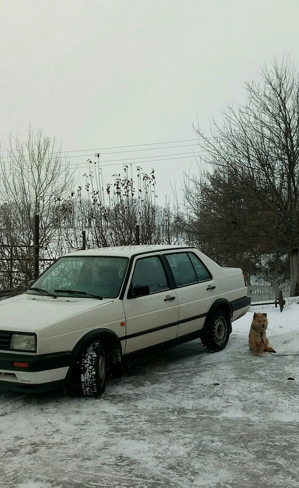 Будинки)