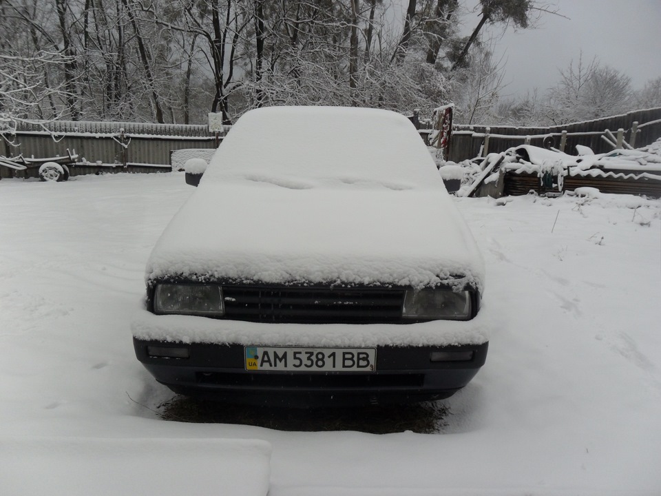 Свіжак 1