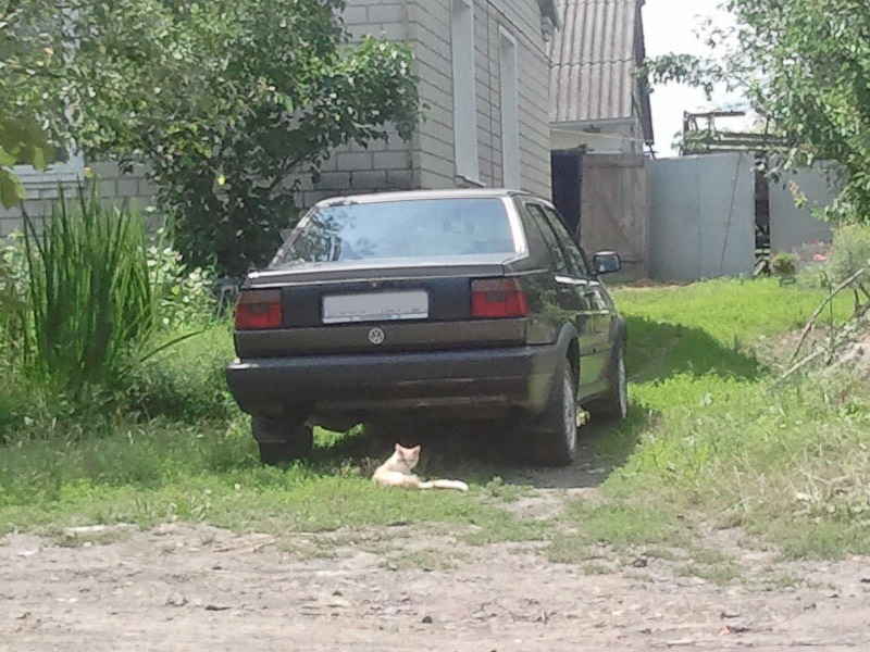 2.07.12 Жора г…й насос 2
