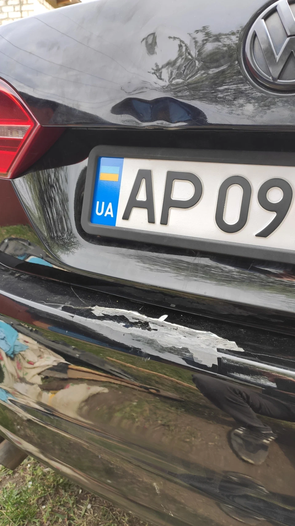 Доброго вечора, мене звуть дерево