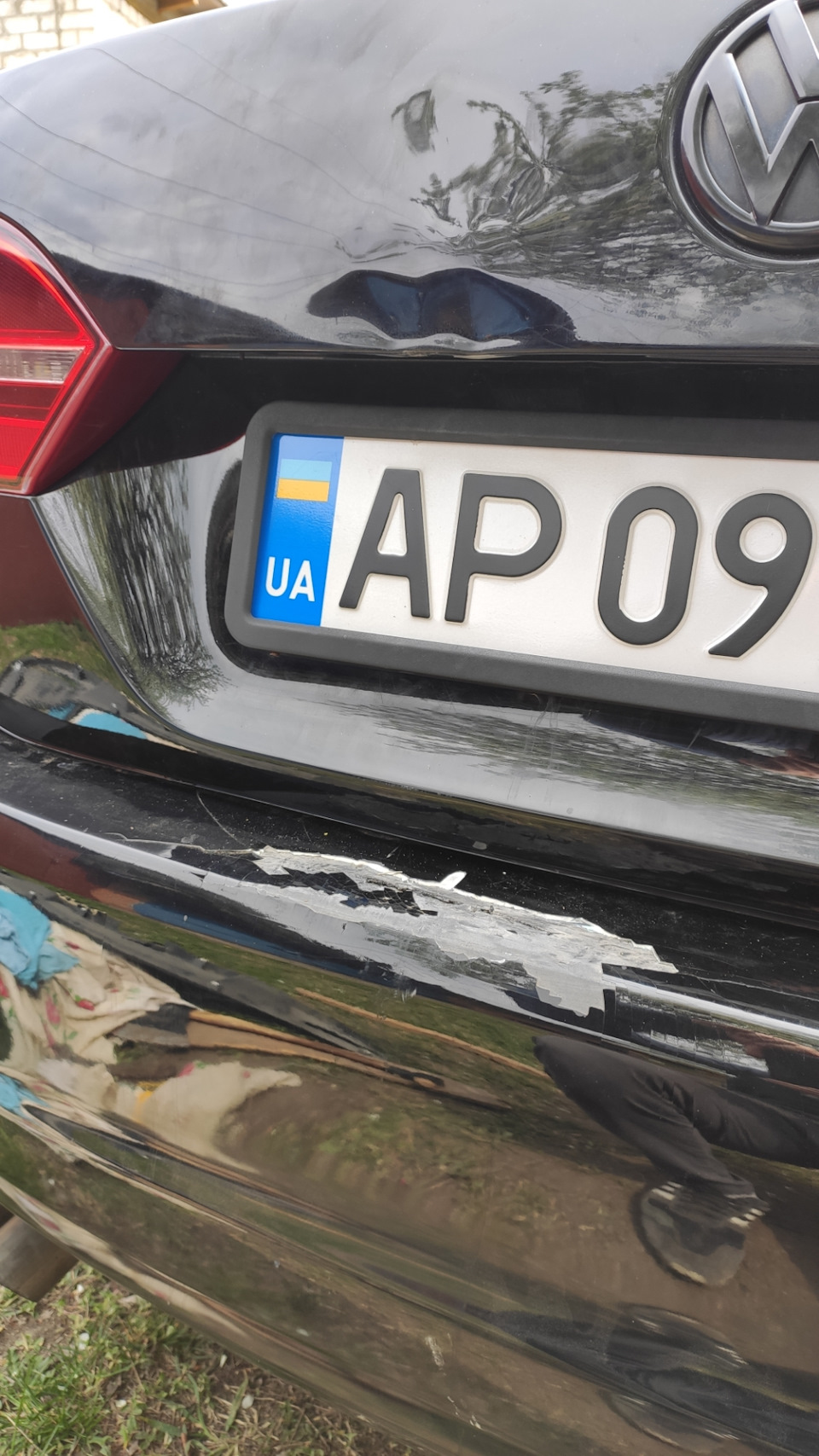 Доброго вечора, мене звуть дерево 1