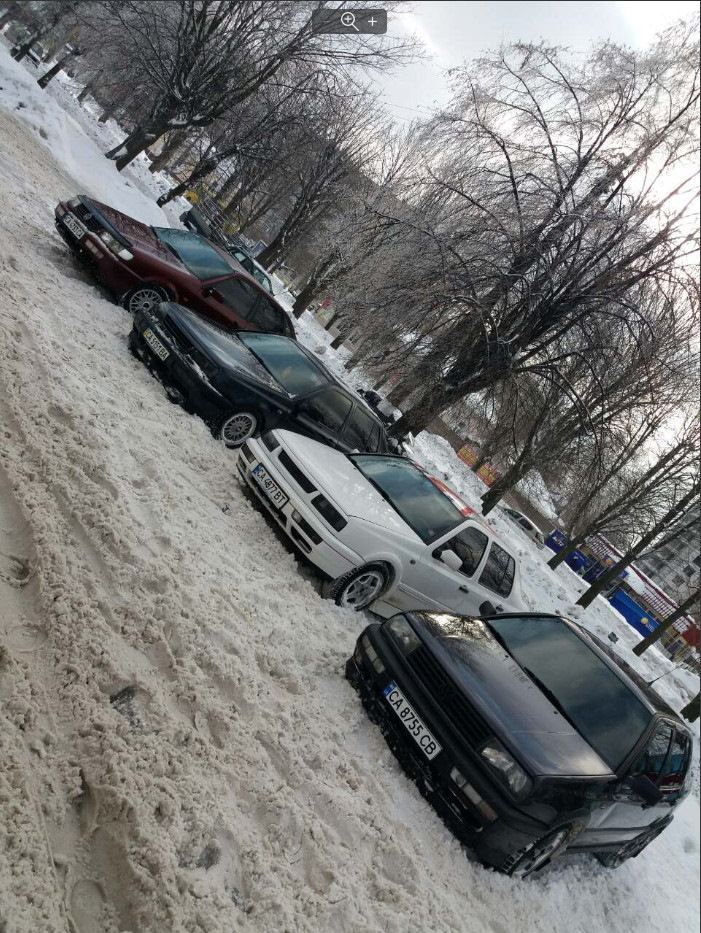 Зустріч з моїми друзями. Зимушка 2019 4