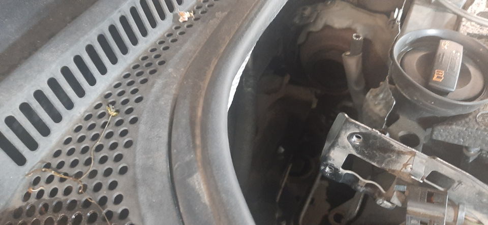 ТО: чищення EGR та DPF (сажевого фільтра) 4