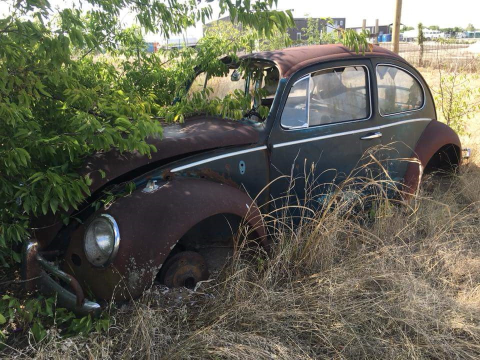 На жаль і таке буває… 1
