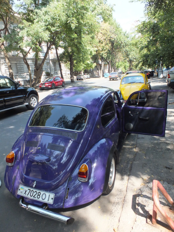 Сезон 2011 2