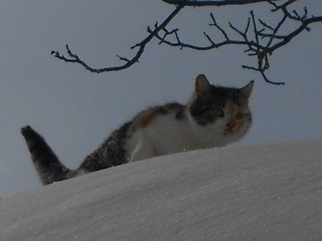 А погода то капець))))) 2