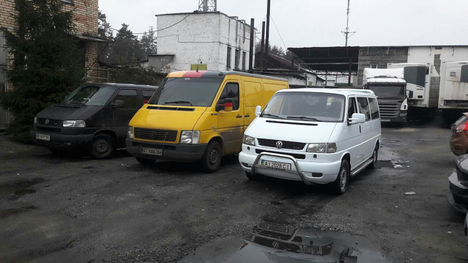 Купив собі 3 брата))) 1
