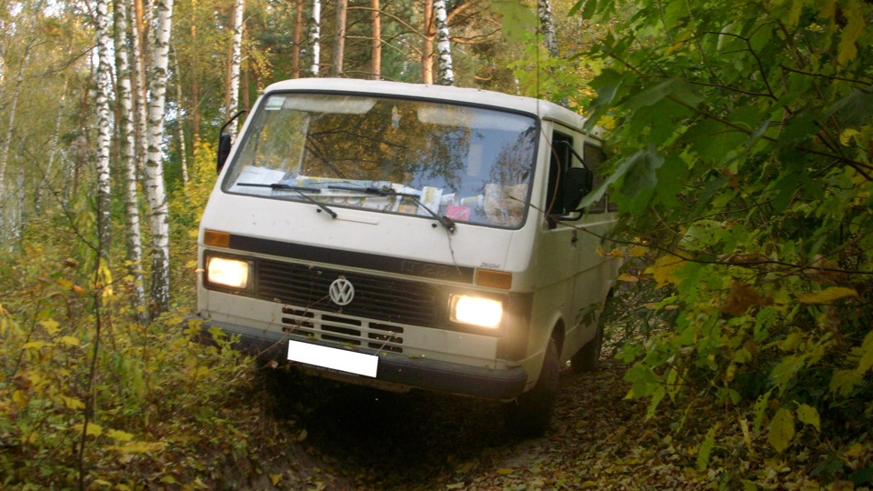 Фольцвашка в лісі 4