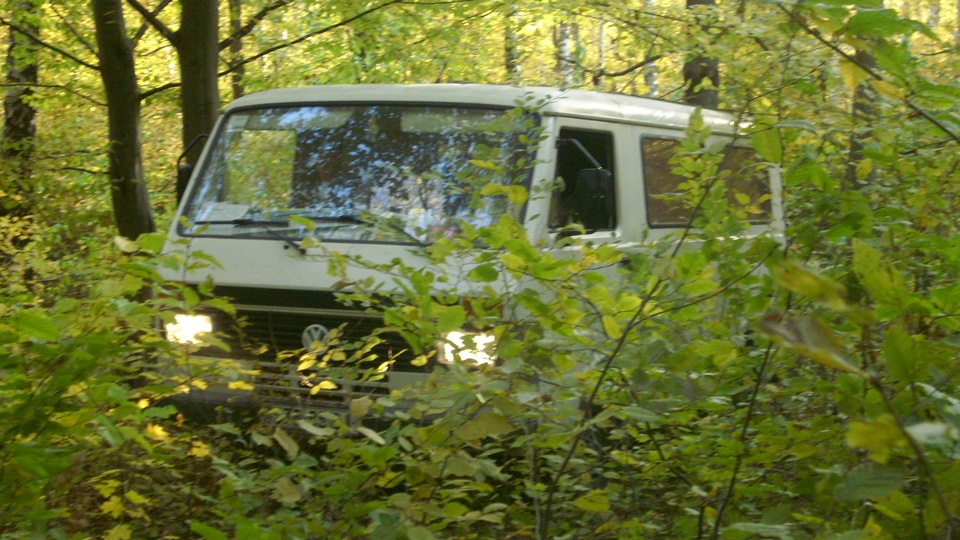 Фольцвашка в лісі 1