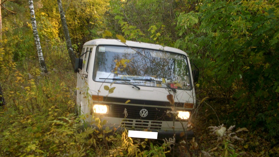Фольцвашка в лісі 5