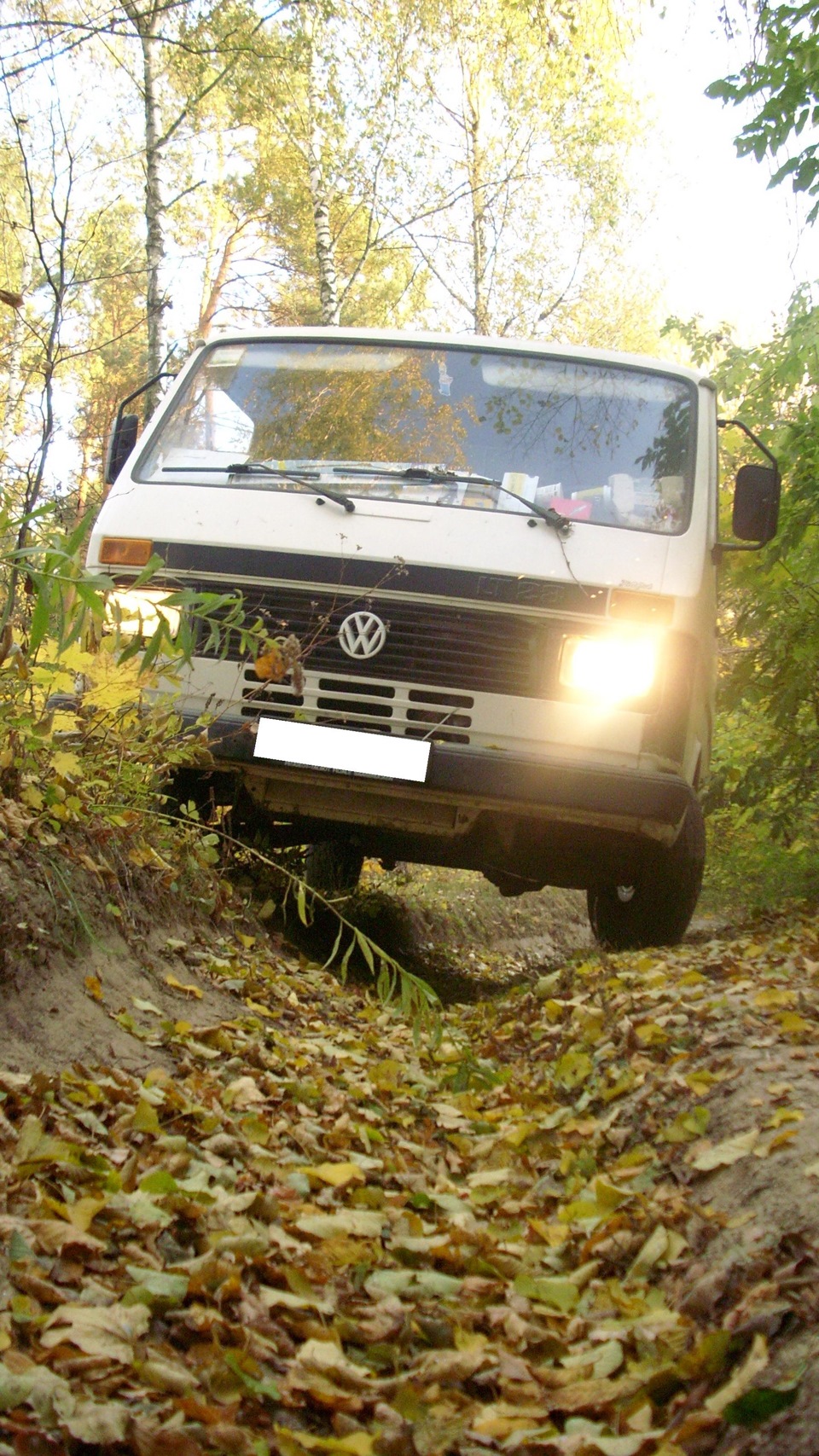 Фольцвашка в лісі 3