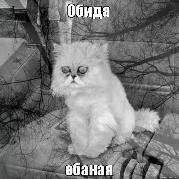 Що відбувалося за весь цей час 2