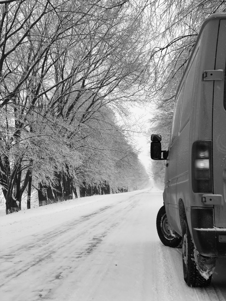 А у нас знову ЗИМА ❄️ 2