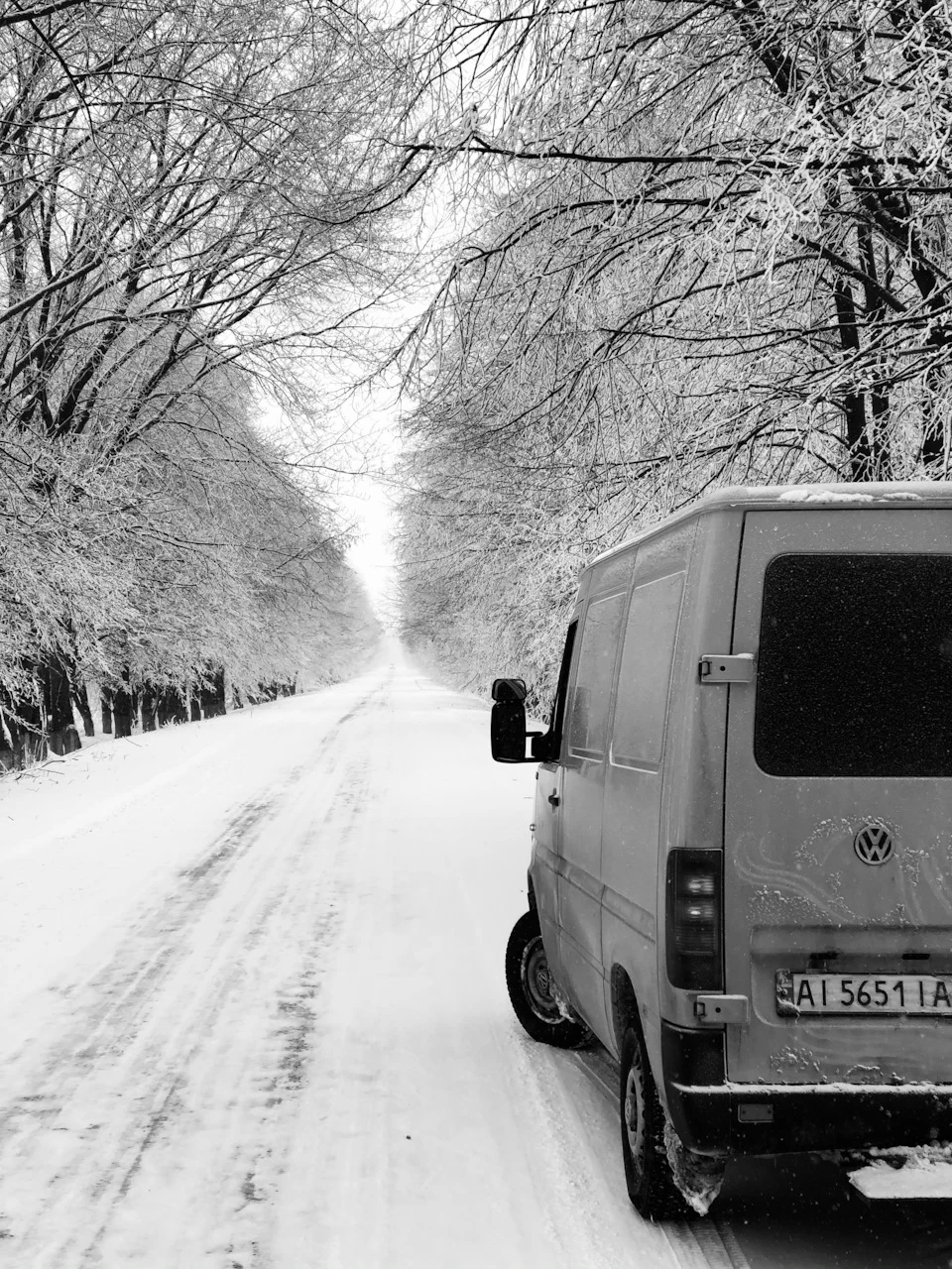 А у нас знову ЗИМА ❄️