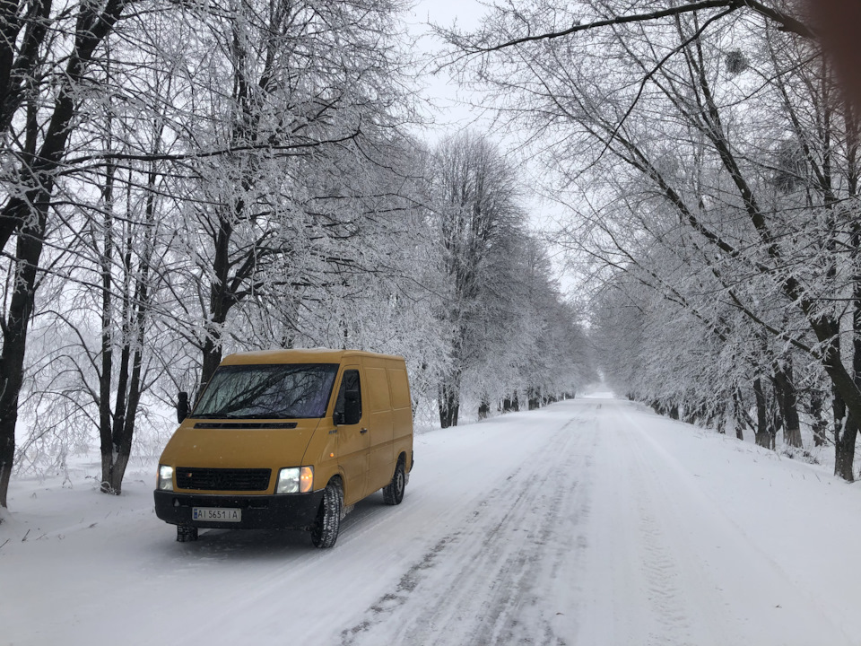 А у нас знову ЗИМА ❄️ 4