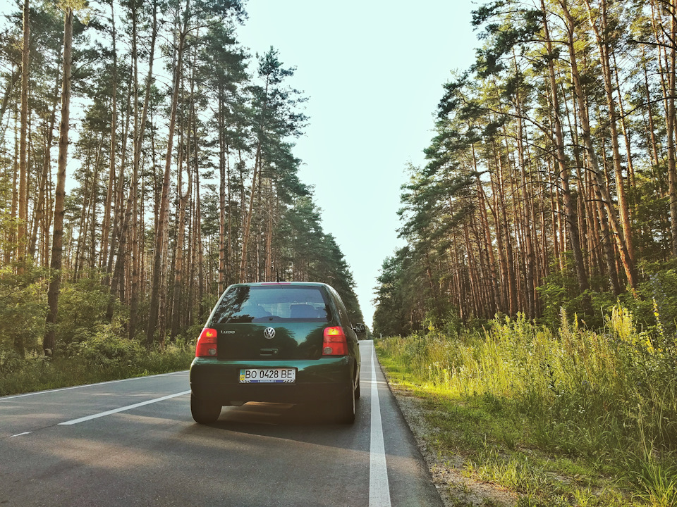 Перейшли на літні фотки 4